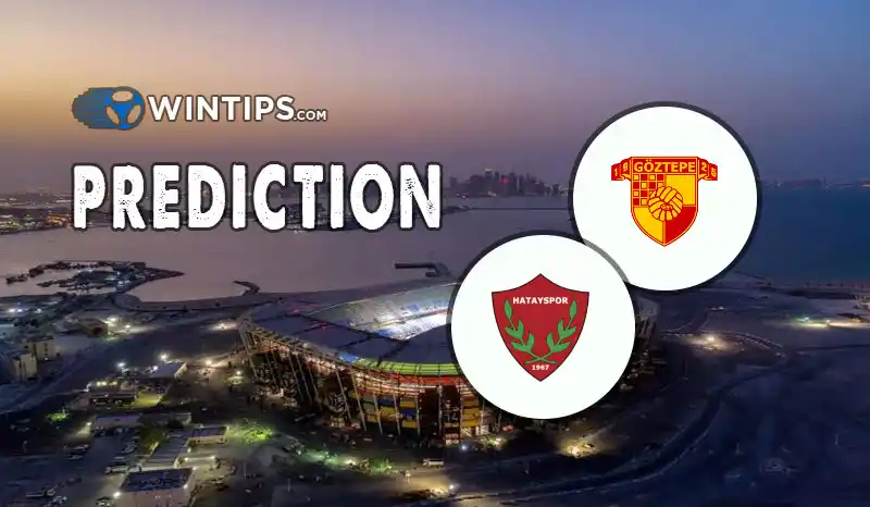 Goztepe vs Hatayspor Predictions