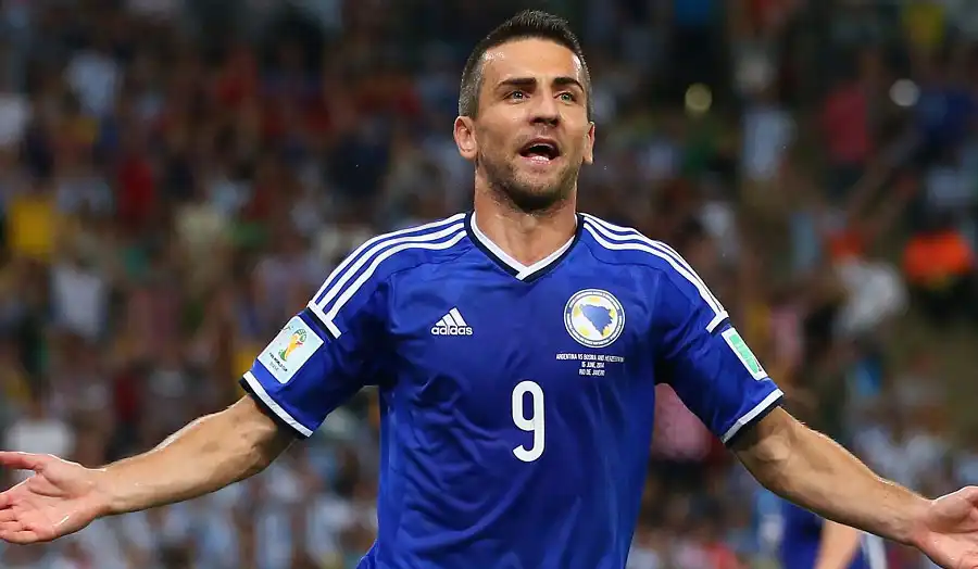 Vedad Ibišević – The explosive striker who helped Hoffenheim shock their first Bundesliga season