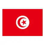 Tunisia U23 logo