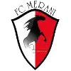 Merani Martvili logo