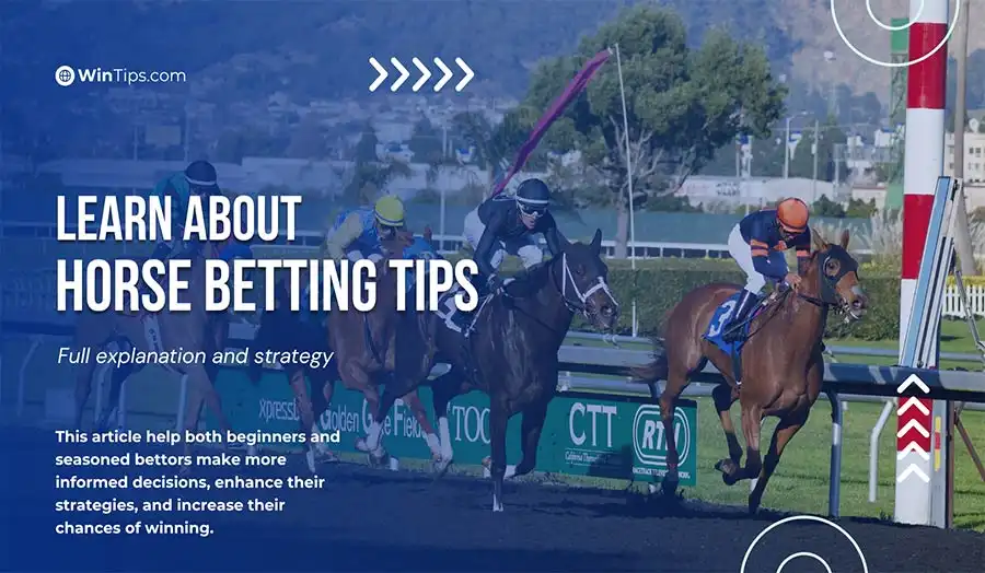 Horse Betting Tips to Improve Your Betting Strategy