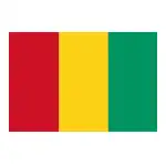 Guinea logo