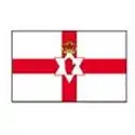 Northern Ireland logo