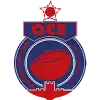 Safi logo