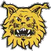 Ilves Tampere II