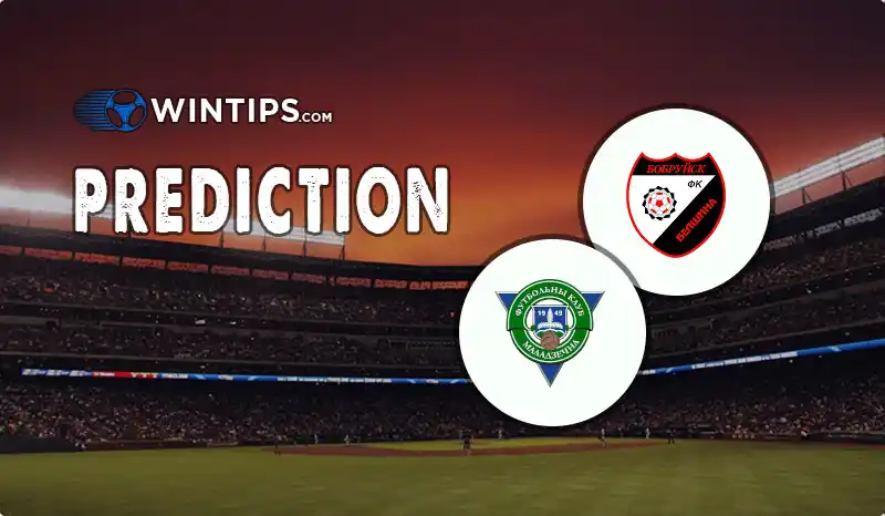 FC Belshina Babruisk vs FC Molodechno Predictions