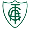 America MG logo