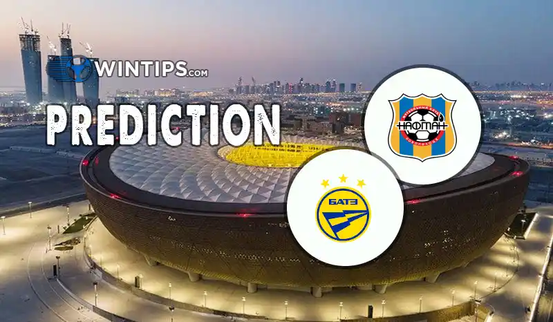 Naftan Novopolock vs BATE Borisov Predictions