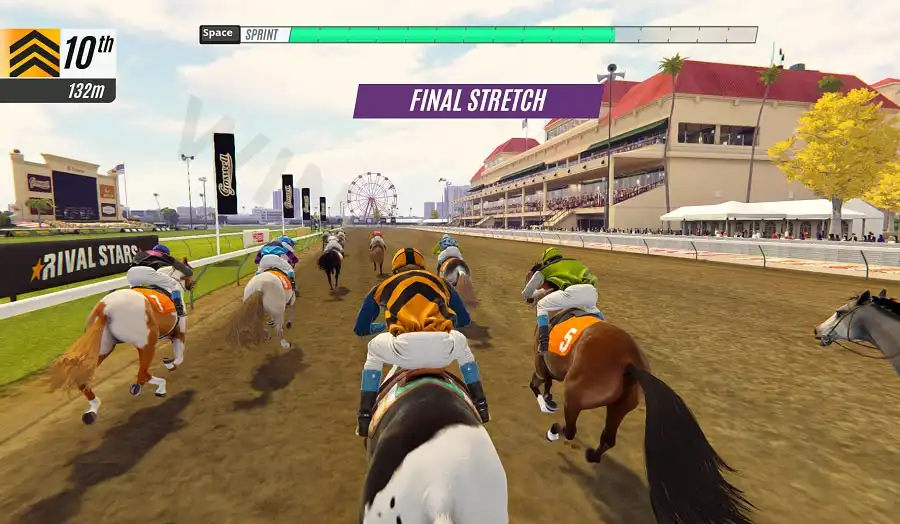Mastering horse betting and reading will help you master horse racing betting