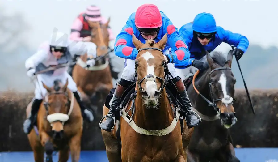 Online horse racing betting is dramatic and convenient, you need to choose a reputable bookmaker