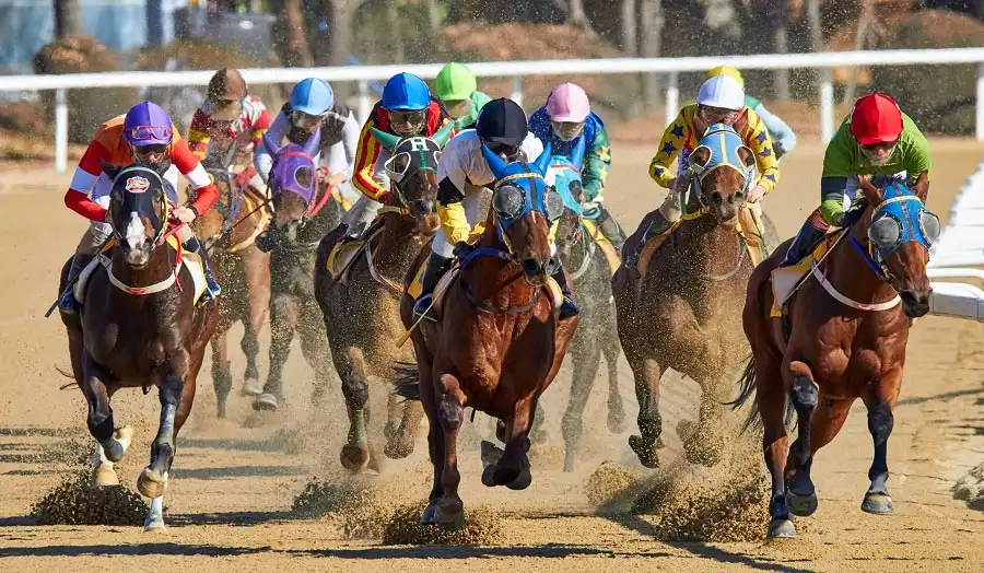 Winning bet is a bet on the horse that finishes first to receive a prize