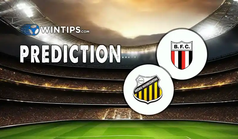 Botafogo SP vs Gremio Novorizontin Predictions