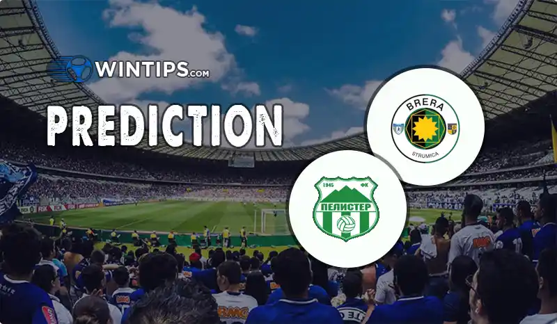 Academy Pandev vs Pelister Bitola Predictions