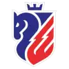 FC Botosani logo