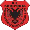Sunshine Eagles logo