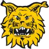 Ilves Tampere logo