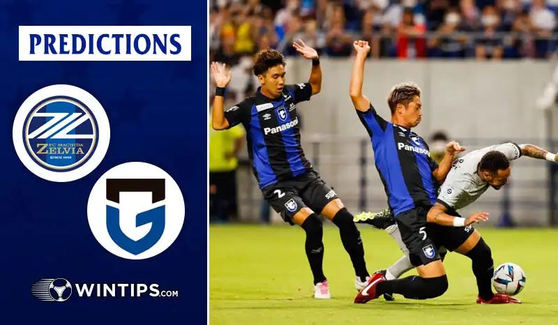 Machida Zelvia vs Gamba Osaka Predictions