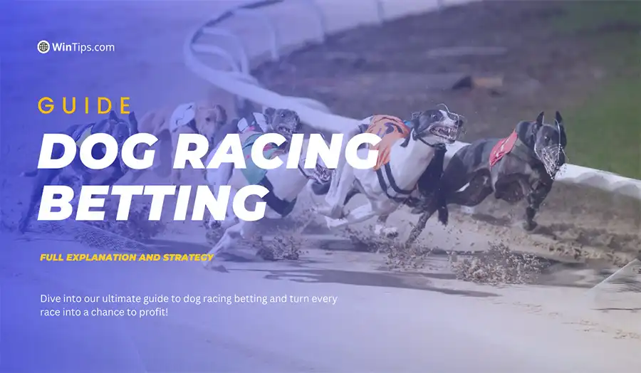 Dog racing betting is an exciting dog racing prediction game thanks to its speed and analysis