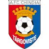 Chindia logo