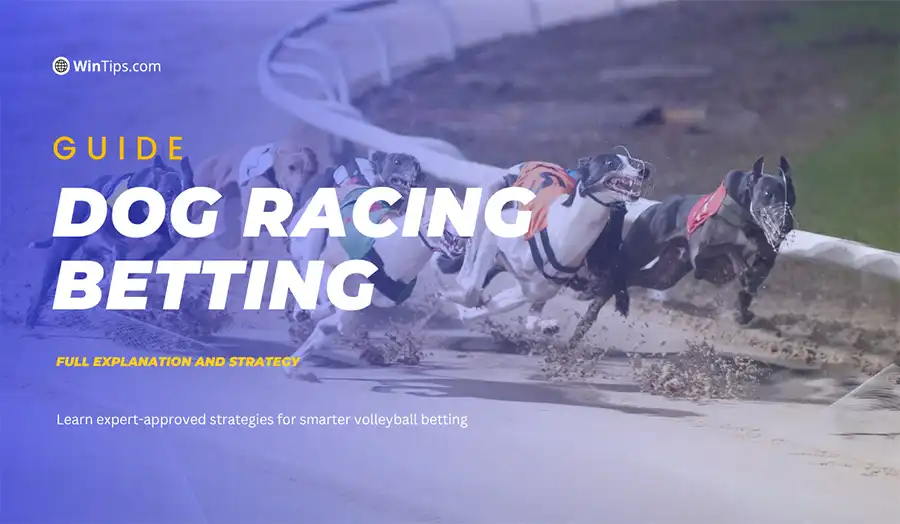 Dog racing betting is an exciting dog racing prediction game thanks to its speed and analysis