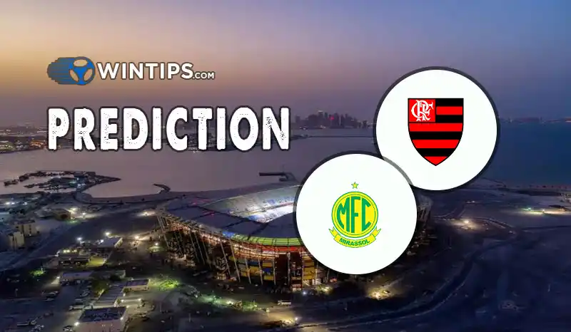 Flamengo vs Mirassol Predictions