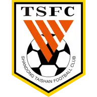 Shandong Taishan logo