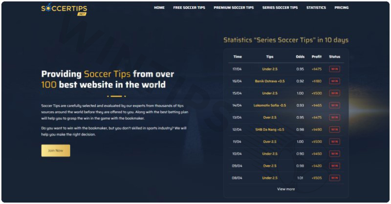 Soccertips.net – Top Betting tips sites