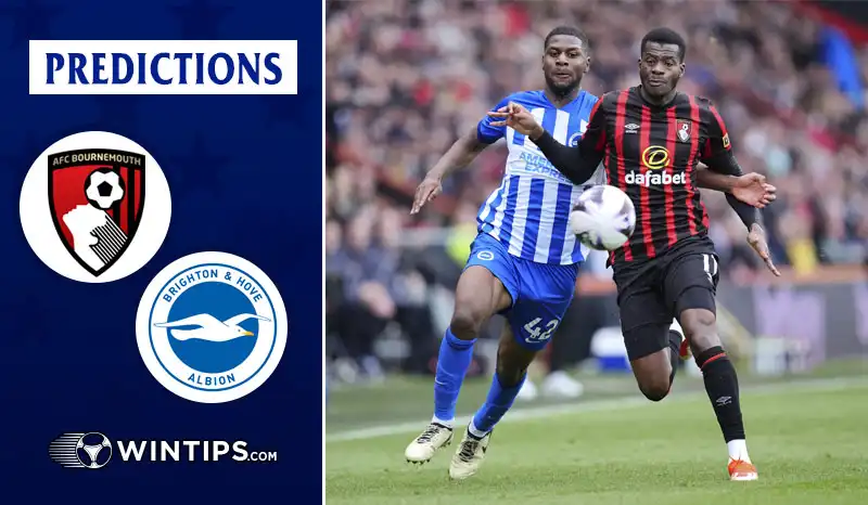 AFC Bournemouth vs Brighton Hove Albion Predictions