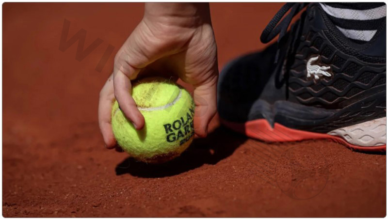 Criteria for evaluating best tennis predictions website