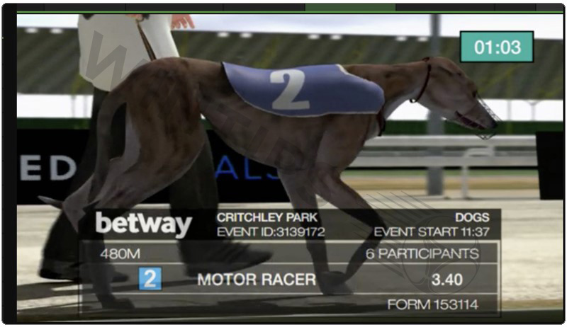 Betway - Top notch betting on greyhound racing sit