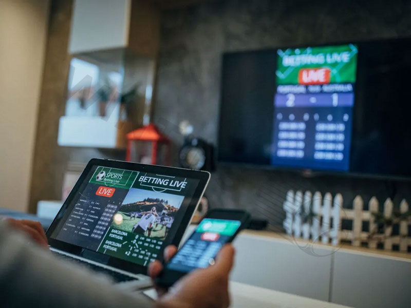 Learn about new Mexico betting apps