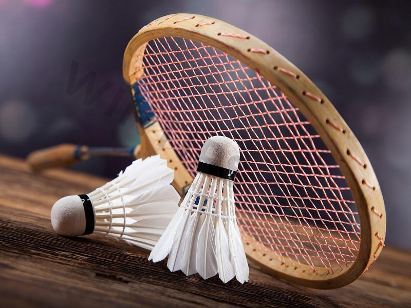 Top 5 Best betting badminton Sites in 2024