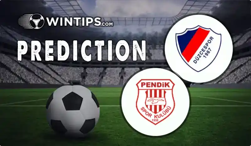Duzcespor vs Pendikspor Predictions