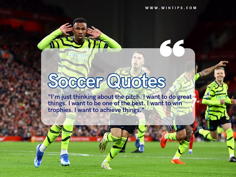 Soccer quotes from the best players