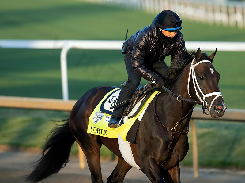 Preakness Future Bet: A Guide to the Most Promising Bets