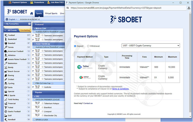 Sbobet presents a promising competitor in the field of cryptocurrency betting