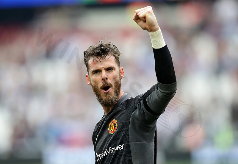 De Gea is an excellent goalkeeper and also very handsome among players