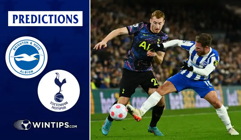 Brighton Hove Albion vs Tottenham Hotspur Predictions