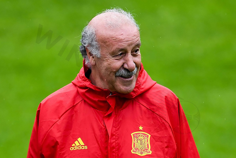 Del Bosque replaced Luis Aragonés in 2008