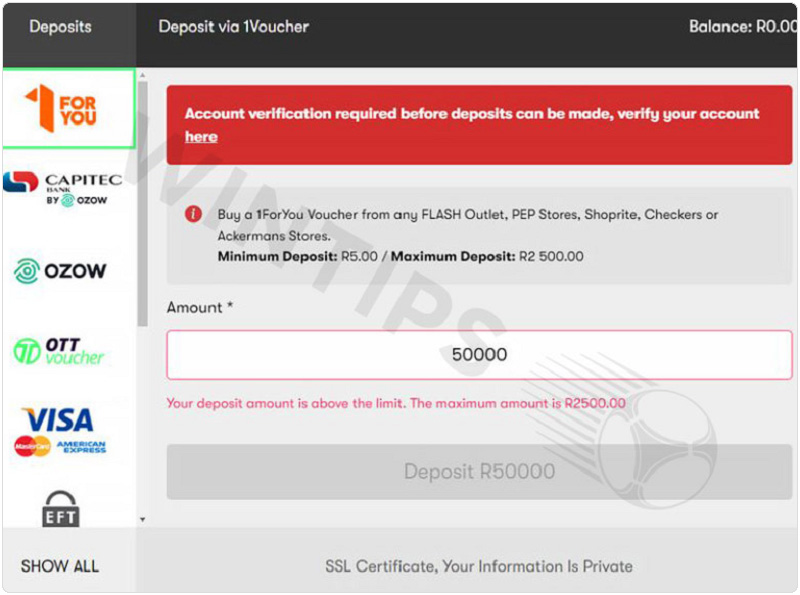 Fill in the Deposit amount and wait for the transaction to complete