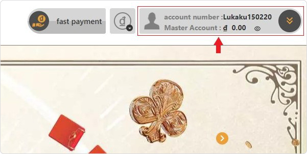 Dubai Casino account registration successful