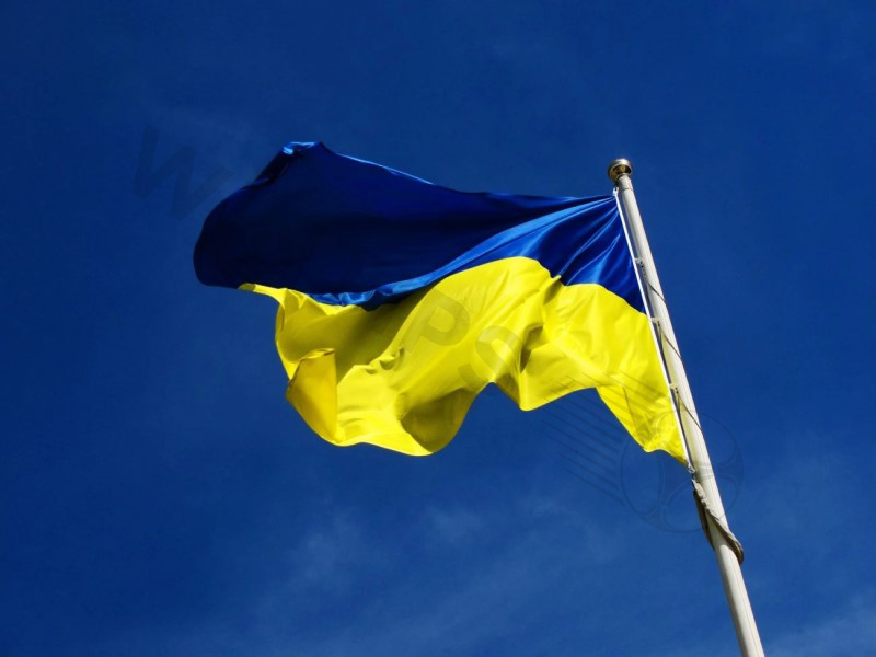 What are the best betting sites in Ukraine that you should invest in?