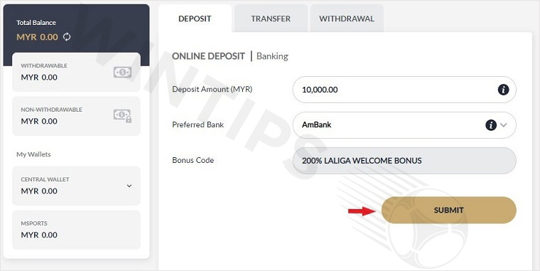 Enter your M88 account deposit information