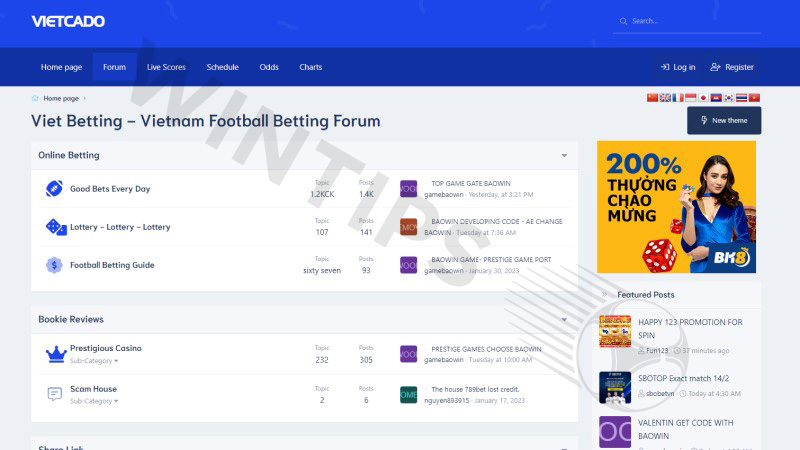 Vietcado money football group